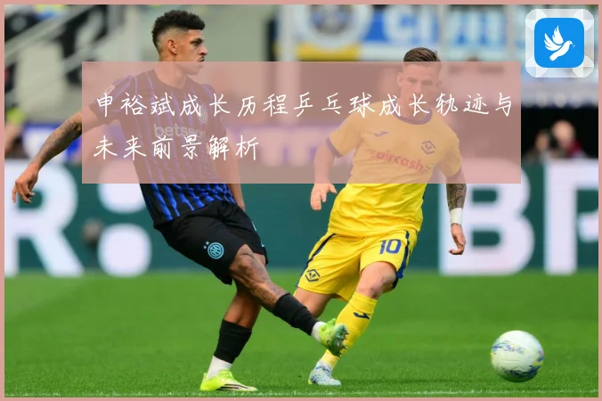 申裕斌成长历程乒乓球成长轨迹与未来前景解析