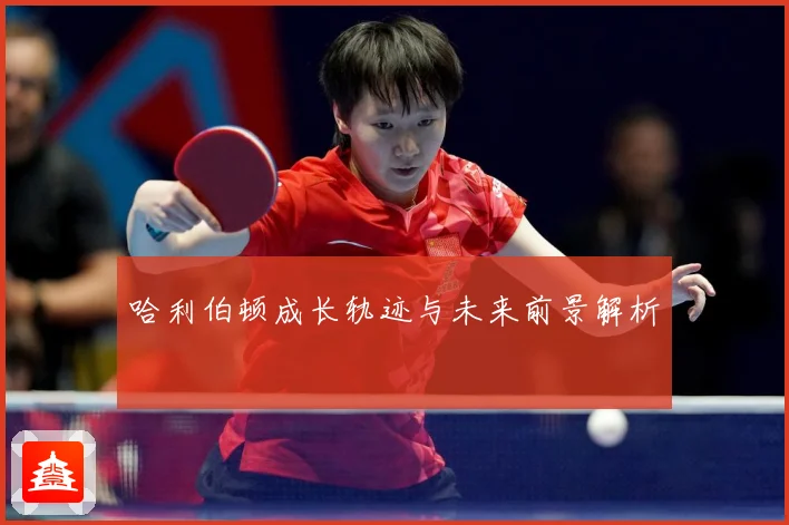 哈利伯顿成长轨迹与未来前景解析