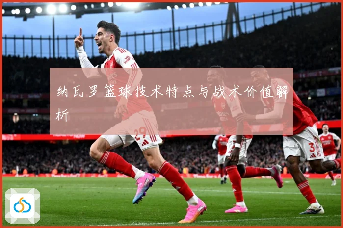 纳瓦罗篮球技术特点与战术价值解析